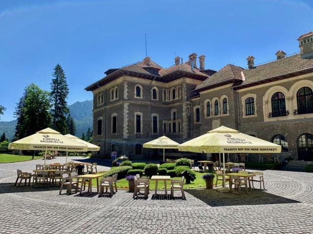 Castelul Cantacuzino Villa Busteni Exterior photo