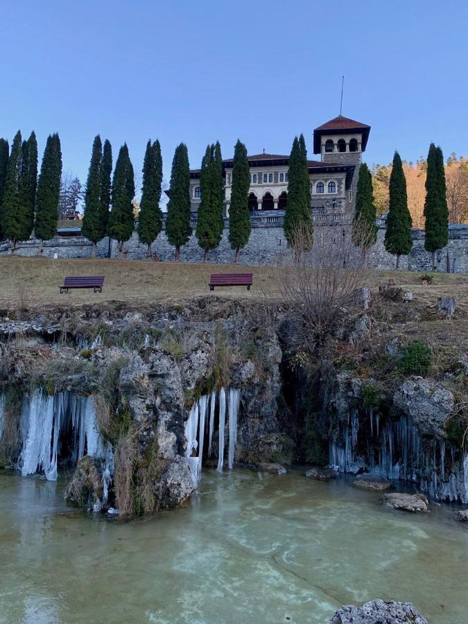 Castelul Cantacuzino Villa Busteni Exterior photo